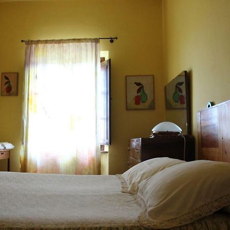 Bio Agriturismo Podere Pretoia Сан-Джиміньяно Екстер'єр фото