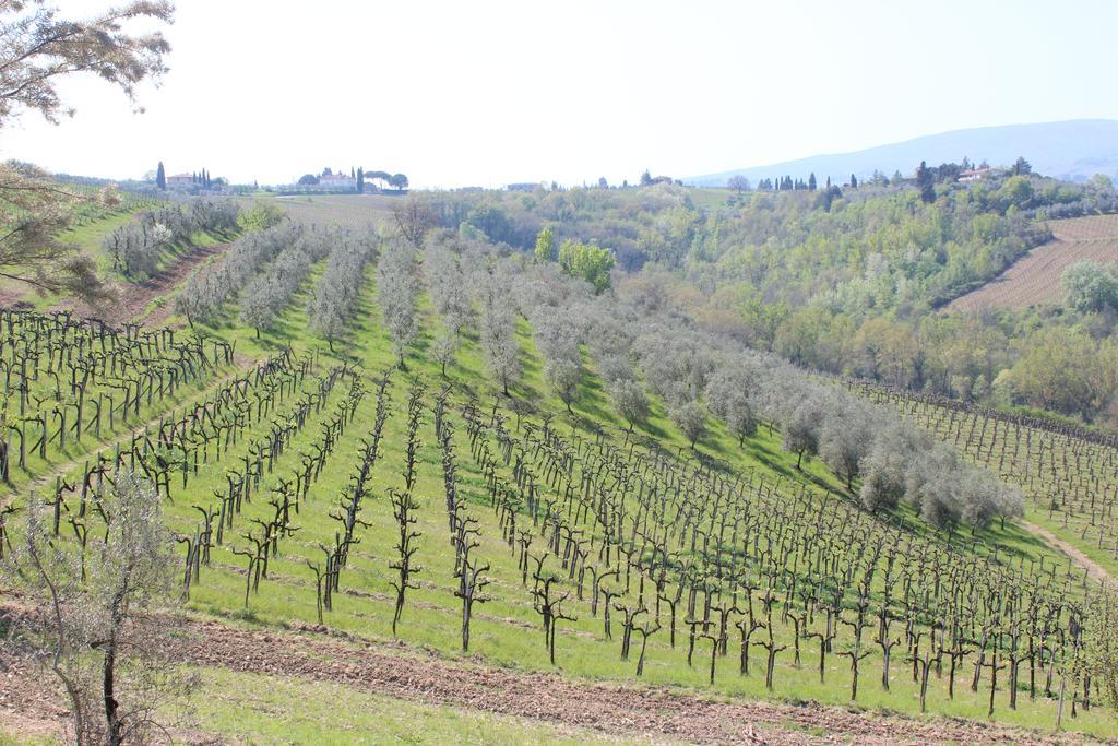 Bio Agriturismo Podere Pretoia Сан-Джиміньяно Екстер'єр фото